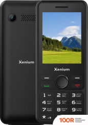 Мобильный телефон Xenium X280 (ЧЕРНЫЙ) (161714)
