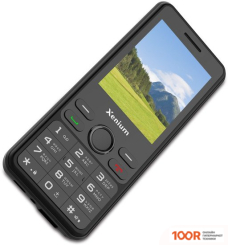 Мобильный телефон Xenium X280 (ЧЕРНЫЙ) (161714)