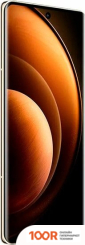 Мобильный телефон Vivo X100 PRO 12GB/256GB КИТАЙСКАЯ ВЕРСИЯ (ОРАНЖЕВЫЙ ЗАКАТ) (161515)