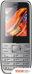 Мобильный телефон Vertex D533 (СЕРЕБРИСТЫЙ) (161337)