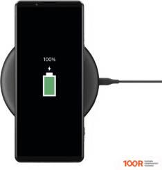 Мобильный телефон Sony XPERIA 5 IV 8GB/256GB (ЧЕРНЫЙ) (160495)