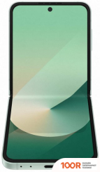 Мобильный телефон Samsung GALAXY Z FLIP6 SM-F741B 12GB/512GB (МЯТНЫЙ) И НАУШНИКИ GALAXY BUDS3 PRO (СЕРЕБРИСТЫЙ) ПО АКЦИИ (160324)
