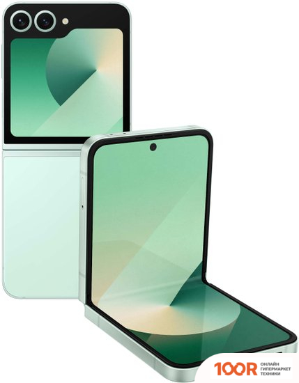 Мобильный телефон Samsung GALAXY Z FLIP6 SM-F741B 12GB/512GB (МЯТНЫЙ) И НАУШНИКИ GALAXY BUDS3 PRO (СЕРЕБРИСТЫЙ) ПО АКЦИИ (160324)