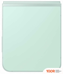 Мобильный телефон Samsung GALAXY Z FLIP6 SM-F741B 12GB/512GB (МЯТНЫЙ) (160323)