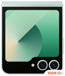 Мобильный телефон Samsung GALAXY Z FLIP6 SM-F741B 12GB/512GB (МЯТНЫЙ) (160323)