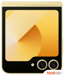 Мобильный телефон Samsung GALAXY Z FLIP6 SM-F741B 12GB/512GB (ЖЕЛТЫЙ) И НАУШНИКИ GALAXY BUDS3 PRO (СЕРЕБРИСТЫЙ) ПО АКЦИИ (160322)