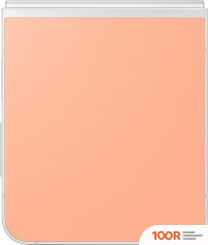Мобильный телефон Samsung GALAXY Z FLIP6 SM-F741B 12GB/256GB (ПЕРСИКОВЫЙ) (160314)