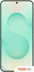 Мобильный телефон Samsung GALAXY S25 SM-S931B 12GB/256GB (МЯТНЫЙ) (160190)