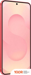 Мобильный телефон Samsung GALAXY S25 SM-S931B 12GB/128GB (КОРАЛЛОВЫЙ) (160182)