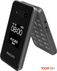 Мобильный телефон Philips XENIUM E2602 (ТЕМНО-СЕРЫЙ) (157781)