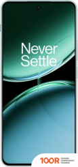 Мобильный телефон OnePlus NORD 4 8GB/256GB МЕЖДУНАРОДНАЯ ВЕРСИЯ (ЗЕЛЕНЫЙ ОАЗИС) (157289)