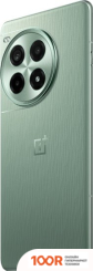 Мобильный телефон OnePlus ACE 3 PRO 12GB/256GB КИТАЙСКАЯ ВЕРСИЯ (ЗЕЛЕНЫЙ ЛЕС) (157222)