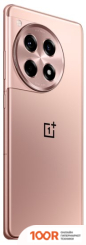 Мобильный телефон OnePlus ACE 3 16GB/1TB КИТАЙСКАЯ ВЕРСИЯ (БРОНЗОВЫЙ) (157216)