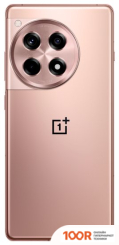 Мобильный телефон OnePlus ACE 3 16GB/1TB КИТАЙСКАЯ ВЕРСИЯ (БРОНЗОВЫЙ) (157216)