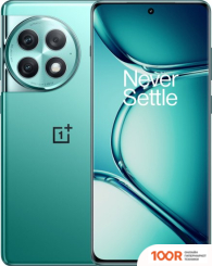 Мобильный телефон OnePlus ACE 2 PRO 24GB/1TB КИТАЙСКАЯ ВЕРСИЯ (ЗЕЛЕНЫЙ) (157205)