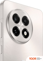 Мобильный телефон OnePlus 13R 12GB/256GB МЕЖДУНАРОДНАЯ ВЕРСИЯ (БЕЖЕВЫЙ) (157095)