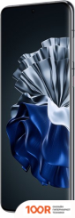 Мобильный телефон Huawei P60 PRO MNA-LX9 DUAL SIM 8GB/256GB (ЧЕРНЫЙ) (155369)