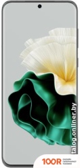 Мобильный телефон Huawei P60 LNA-LX9 8GB/256GB (ЗЕЛЕНЫЙ) (155363)
