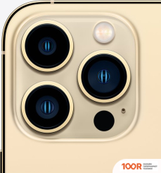 Мобильный телефон Apple IPHONE 13 PRO MAX 256GB (ЗОЛОТОЙ) (151978)