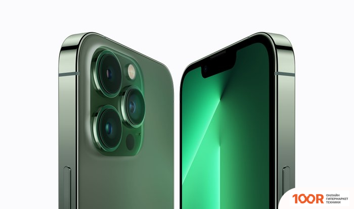 Мобильный телефон Apple IPHONE 13 PRO MAX 256GB (АЛЬПИЙСКИЙ ЗЕЛЕНЫЙ) (151976)