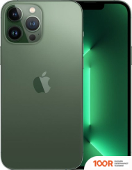 Мобильный телефон Apple IPHONE 13 PRO MAX 256GB (АЛЬПИЙСКИЙ ЗЕЛЕНЫЙ) (151976)