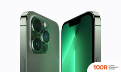 Мобильный телефон Apple IPHONE 13 PRO MAX 256GB (АЛЬПИЙСКИЙ ЗЕЛЕНЫЙ) (151976)