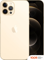 Мобильный телефон Apple IPHONE 12 PRO MAX DUAL SIM 256GB (ЗОЛОТОЙ) (151598)