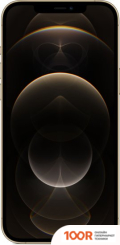 Мобильный телефон Apple IPHONE 12 PRO MAX DUAL SIM 256GB (ЗОЛОТОЙ) (151598)