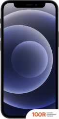 Мобильный телефон Apple IPHONE 12 MINI 256GB (ЧЕРНЫЙ) (151403)