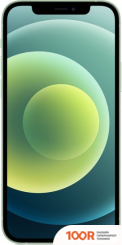 Мобильный телефон Apple IPHONE 12 DUAL SIM 256GB (ЗЕЛЕНЫЙ) (151359)