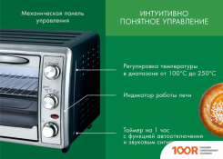 Мини-печь Endever DANKO 6030 (150293)