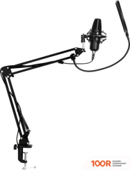 Микрофон SunWind SW-SM400G (150005)