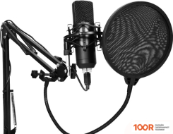 Микрофон SunWind SW-SM400G (150005)