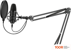 Микрофон SunWind SW-SM400G (150005)