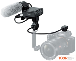 Микрофон Sony XLR-K3M (150002)