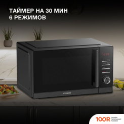 Микроволновая печь Hyundai HYM-D3013 (148434)