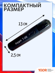 Электроприборы-БЭМЗ БЕРДСК Т-06 (147691)