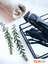 Электроприборы-БЭМЗ БЕРДСК 5103С (147679)