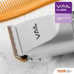Vail VL-6100 (147507)