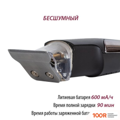 Pioneer HC61RS (147251)