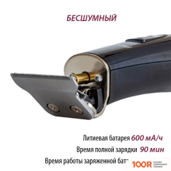 Pioneer HC51RS (147249)