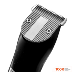 Brayer BR3403 (146564)