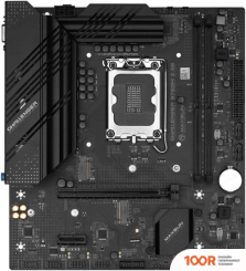 Материнская плата Maxsun CHALLENGER B760M 2.5G (145885)