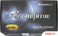 Материнская плата Esonic B250-BTC-GLADIATOR (145339)