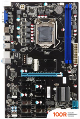 Материнская плата Esonic B250-BTC-GLADIATOR (145339)