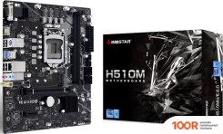 Материнская плата BIOSTAR H510MH/E 2.0 VER. 6.0 (145203)