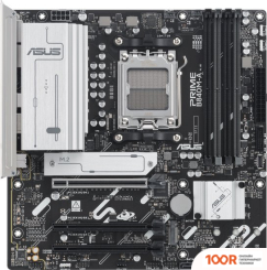 Материнская плата ASUS PRIME B840M-A-CSM (144767)