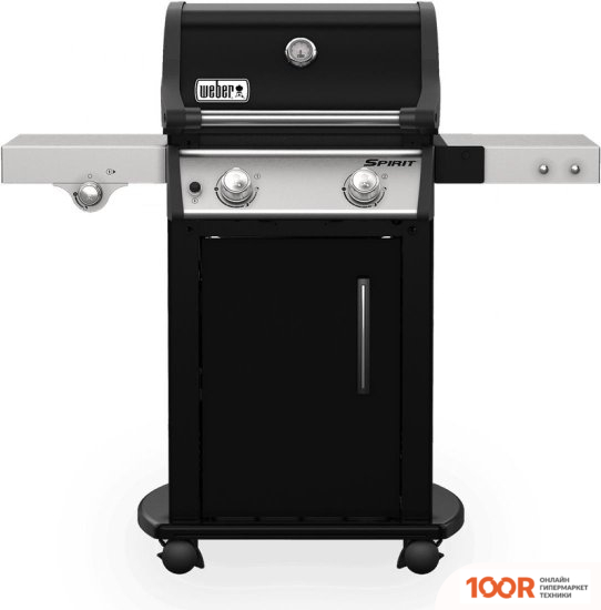 Weber SPIRIT E-225 GBS (144246)