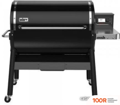 Weber SMOKEFIRE EX6 GBS (144243)