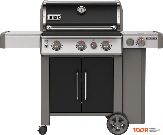 Weber GENESIS II EP-335 GBS (144228)